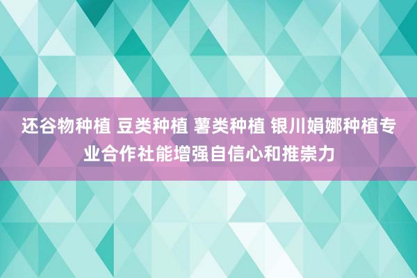 还谷物种植 豆类种植 薯类种植 银川娟娜种植专业合作社能增强自信心和推崇力