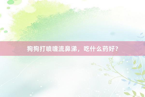 狗狗打喷嚏流鼻涕，吃什么药好？